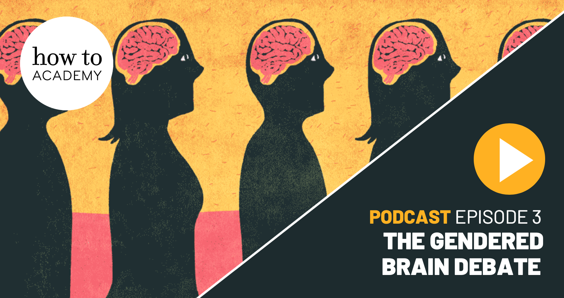 The Gendered Brain Debate | How To Academy