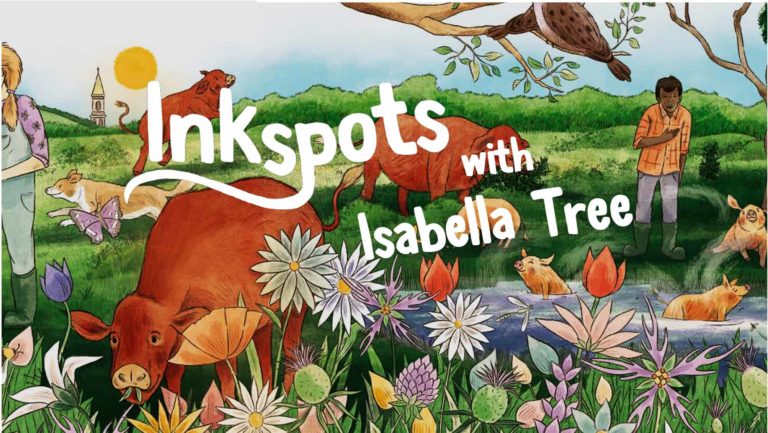 Inkspots With Isabella Tree How To Academy